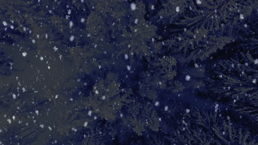 Snow falling forest showcases winter trees and woodland scene with a snow covered ground in a cold environment