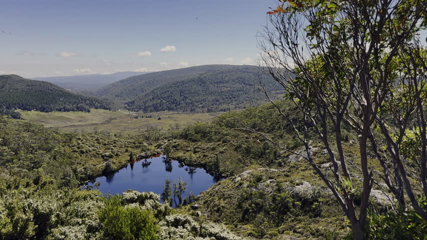 view over dove lake and forests and with lush green vegetation of beautiful landscape cradle mountain in Tasmania, a popular travel destination for hiking and other outdoor activities in Australia.