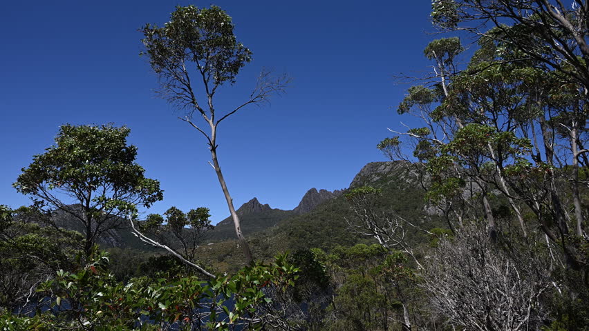 Mountain top in high elevation of the beautiful landscape at cradle mountain in Tasmania, a popular travel destination for hiking and other outdoor activities in Australia.