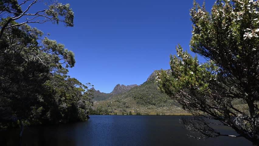 view over dove lake and forests and with lush green vegetation of beautiful landscape cradle mountain in Tasmania, a popular travel destination for hiking and other outdoor activities in Australia.