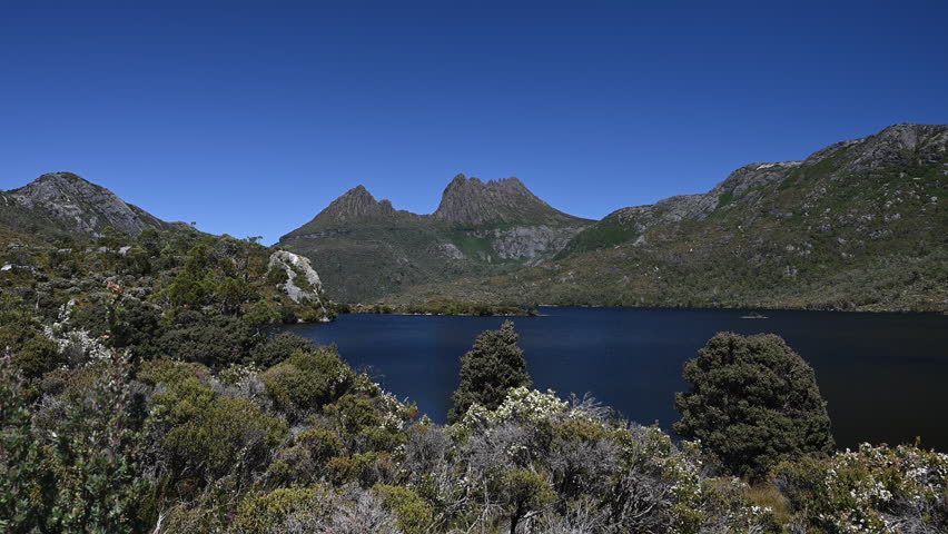 view over dove lake and forests and with lush green vegetation of beautiful landscape cradle mountain in Tasmania, a popular travel destination for hiking and other outdoor activities in Australia.
