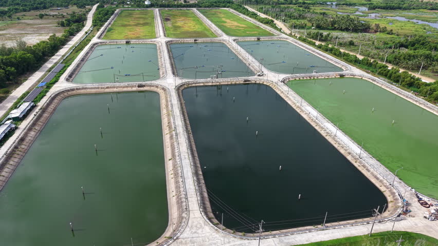 High-angle 4K drone footage shows a systematic arrangement of large, rectangular wastewater lagoons, crucial for industrial water purification and environmental conservation.