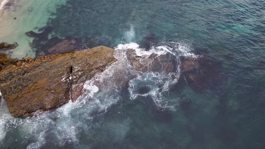 Top-down drone view of dense golden-brown kelp fronds floating near the ocean surface in California’s coastal waters
