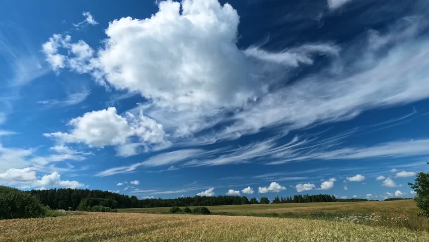 Fast moving summer sky clouds over golden crop field polarized 4k