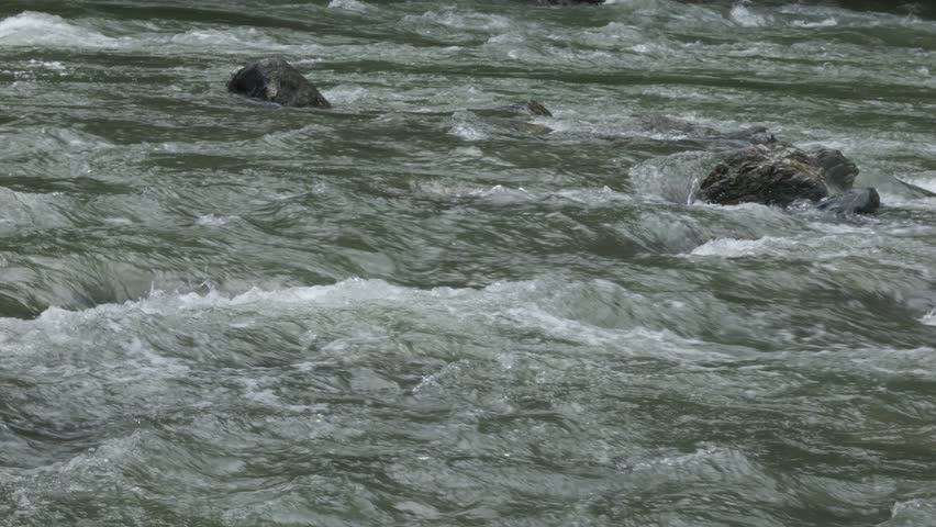Mountain River Flowing Through Stone Rapids In Haast, New Zealand - Wide Shot