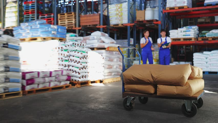 Large cargo trolley stands in premises of store-warehouse of construction and repair materials. Unrecognizable store employees in background discuss need for audit