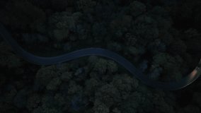 Curvy Forest Road at Night with Car Lights – Aerial View - Powered by Shutterstock - Get 15% off with code: PIKWIZARD15