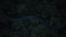 Curvy Forest Road at Night with Car Lights – Aerial View - Powered by Shutterstock - Get 15% off with code: PIKWIZARD15