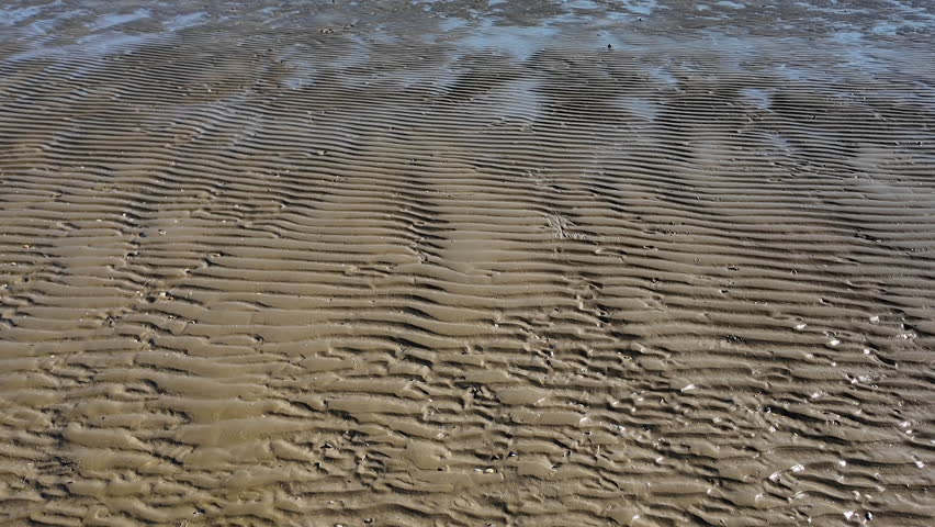 Close-up, abstract low-angle view of wet beach sand featuring natural ripple patterns created by the tide. Vehicle or tractor tire tracks are prominently visible on the textured surface. High quality 