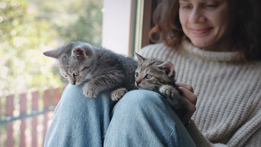 A young woman is playing with cute little kittens sitting on the windowsill of a country house