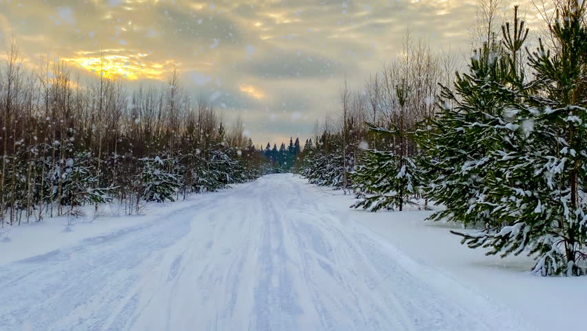 Beautiful winter landscape with a snow-covered road leading through pine trees at sunset. Gentle snowfall and warm light in the cloudy sky create a peaceful, magical atmosphere.