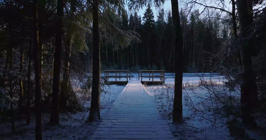 A wooden boardwalk covered in snow, winding through a winter forest. Perfect for travel films, nature documentaries, relaxation and meditation videos, environmental projects, and cinematic visuals.
