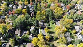 Tree-lined boulevard with wooded median in Washington Virginia Vale neighborhood, flanked by residential homes on both sides. Peak fall foliage enhances symmetry and suburban planning aesthetics. USA - Powered by Shutterstock - Get 15% off with code: PIKWIZARD15