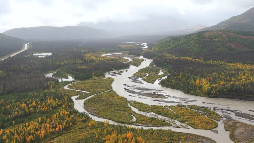Aerial view of a winding river flowing through a forest, contrasting autumn colors with the muted tones of the landscape, Denali, Cantwell, Alaska, United States.