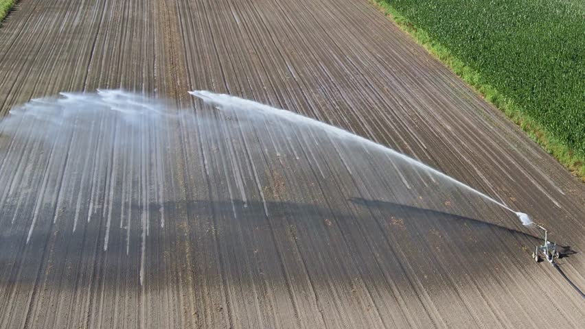 agriculture irrigation of farm. automatic artificial irrigation of field for good harvest. smart agriculture eco farming concept artificial intelligence. agricultural irrigation land farm. Watering