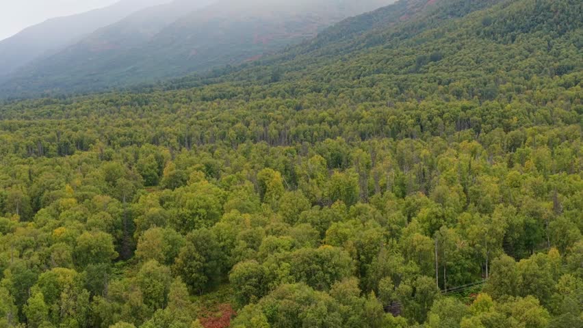 Aerial view of the vast forest with rolling hills in the background, a sea of green textures under a hazy sky, Palmer, Alaska, United States.