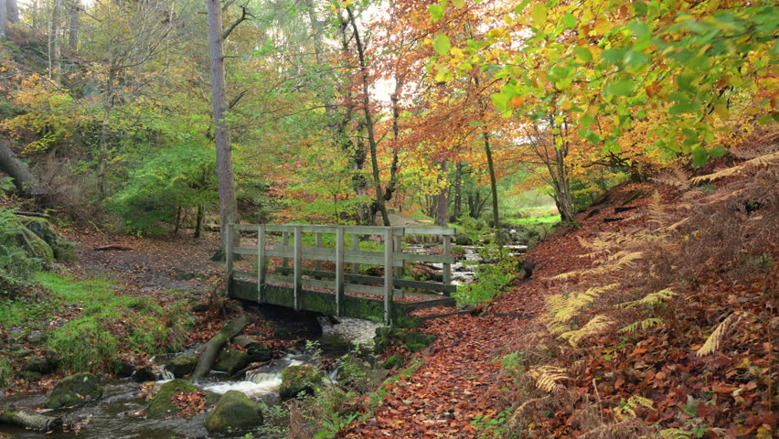 Small waterfall cascades running through a moss covered rocky ravine during autumn at Wyming Brook Nature Reserve in the Derbyshire, Peak District National Park.