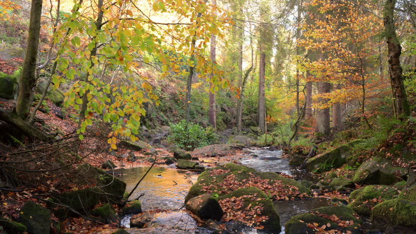 Small waterfall cascades running through a moss covered rocky ravine during autumn at Wyming Brook Nature Reserve in the Derbyshire, Peak District National Park.
