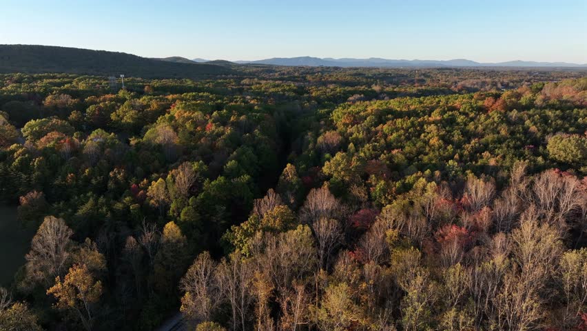Peaceful colored forest landscape of USA at golden sunset. Multicolored trees and woodland in fall season. Aerial wide shot.