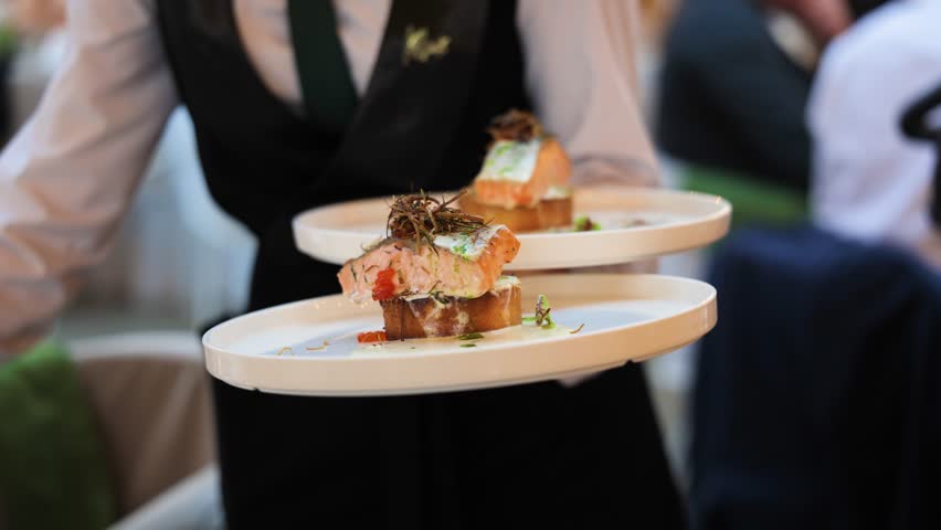 Professional waiter carefully presents two plates of exquisite salmon appetizers. Fine dining experience enhanced by elegant presentation and delicious gourmet food, evoking feelings of anticipation.