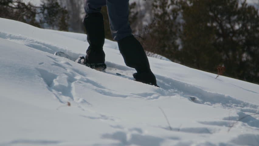 Tilt up side view shot of young woman walking in snow wearing snowshoes and protective gaiters during winter hike, copy space