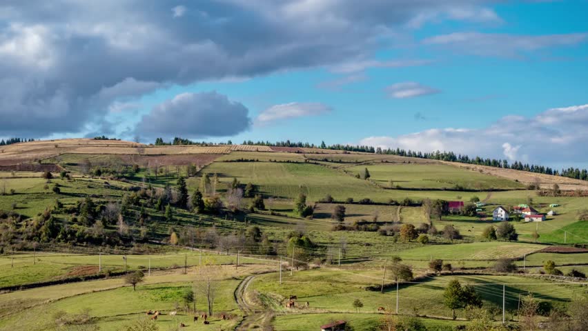 Rolling green hills and fields under a bright blue sky with scattered white clouds