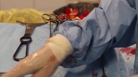 The surgical operating room is in operation - Powered by Shutterstock - Get 15% off with code: PIKWIZARD15