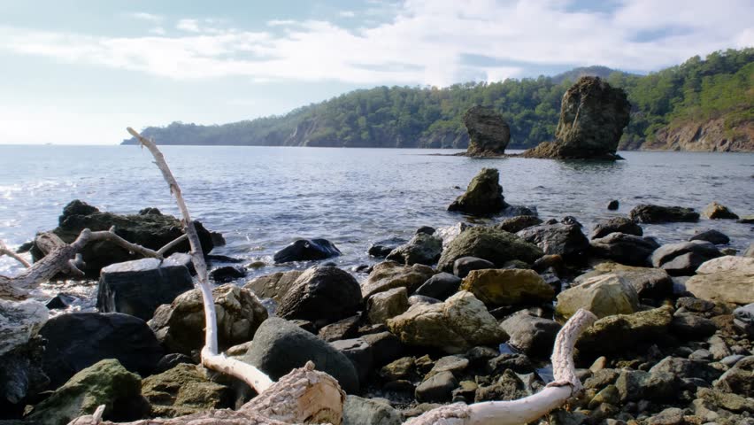 Beautiful coastal scenery with sea, rocks, and forest. Tranquil seaside landscape with rocky islets and trees. Coastal rocks and forest landscape by the sea.