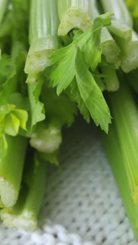 Detailed macro shot of fresh, crisp green celery stalks and vibrant leaves slowly rotating, highlighting the texture and freshness of the organic vegetable, perfect for healthy eating concepts