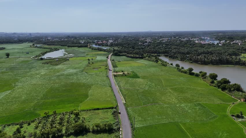 A peaceful aerial view of the agricultural landscape. Vast, bright green paddy fields, separated by a winding road, convey the tranquillity of the countryside with natural water and dense tree cover.