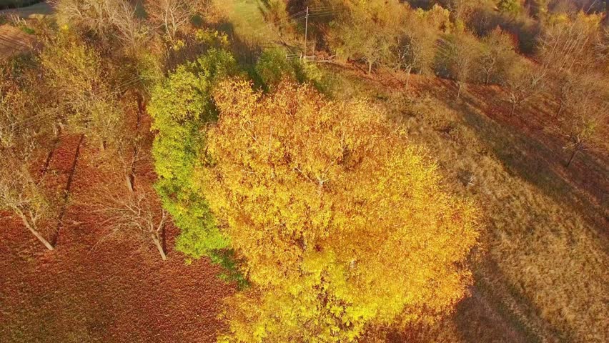 Aerial view of a red roofed house nestled among autumn trees in a valley landscape
