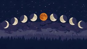 An enchanting animation of mystical moon phases illuminating a starry night sky above a dark forest silhouette, with playful bats dancing in the celestial glow. - Powered by Shutterstock - Get 15% off with code: PIKWIZARD15