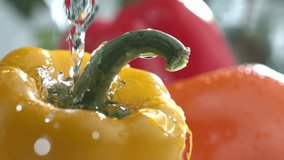 Fresh Bell Peppers Being Washed with Water in Close-Up - Powered by Shutterstock - Get 15% off with code: PIKWIZARD15