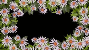 A beautiful floral border made of pink and white aster flowers with green leaves on a black background. A delicate white butterfly flutters gracefully among the petals.
 - Powered by Shutterstock - Get 15% off with code: PIKWIZARD15