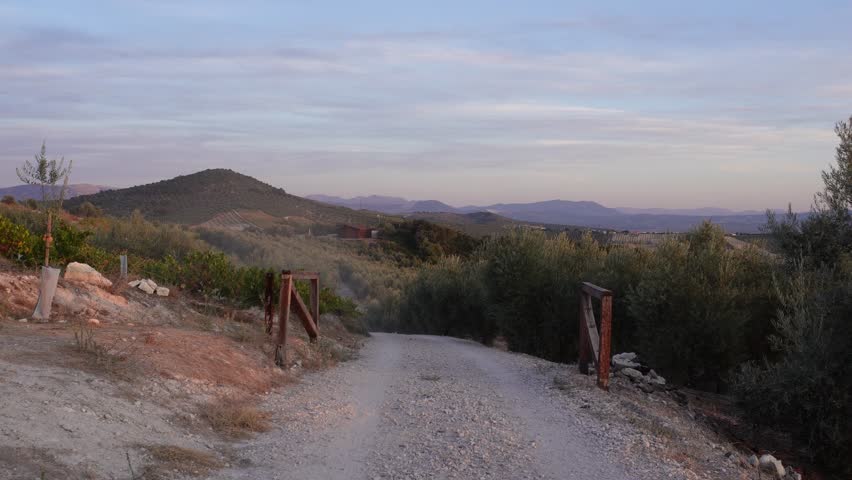 A man and a woman with backpacks walk along a dirt road at sunset with rolling hills in the background. Captures peaceful rural travel and companionship.
