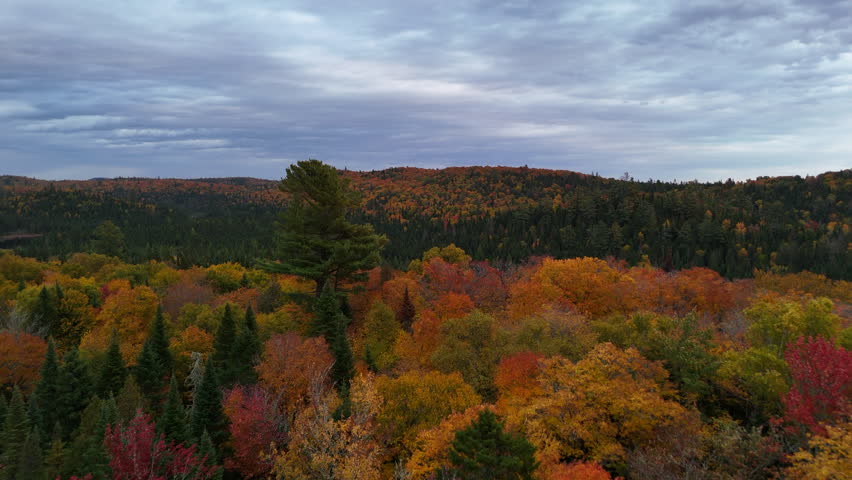 Aerial view of an autumn lake and mountain under a cloudy evening sky in Mauricie, Quebec, Canada. Dramatic light highlights colorful foliage and serene wilderness.