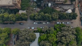 Straight Down Aerial of Dense Green Tree Canopy Over Urban Road and Traffic, India. - Powered by Shutterstock - Get 15% off with code: PIKWIZARD15