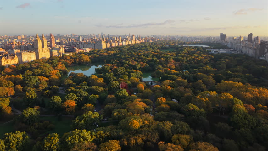 Beautiful Drone view of New York City Central Park during fall season, showcasing vibrant foliage, skyline, and morning sunlight atmosphere. Perfect travel destination in New York, USA