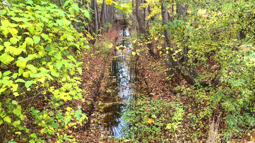 Golden autumn landscape with trees and clouds