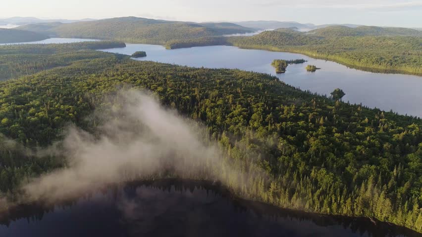 Drone Flying Through Mist Over Golden Hour Lake. Epic air-to-air aerial of a drone flying through a low cloud above a pristine forest and lake at sunrise.
