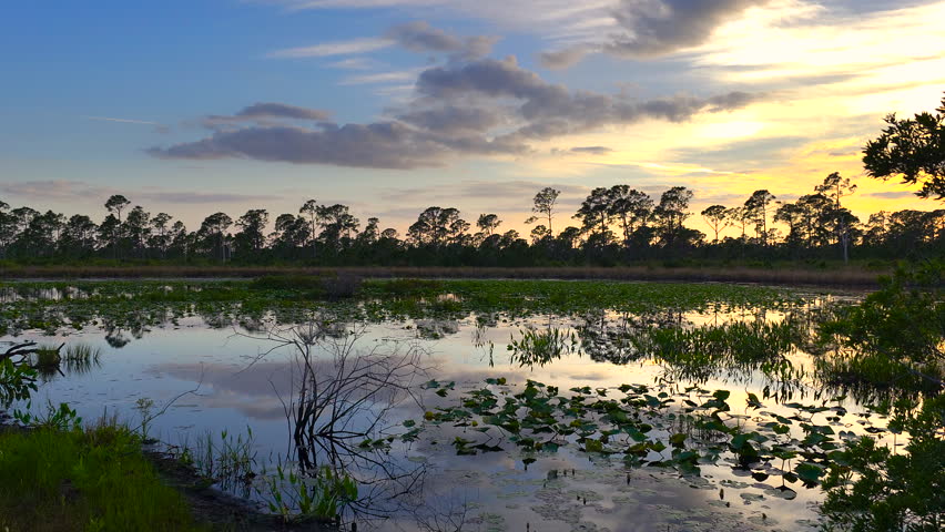 Evening landscape over lake water in southern tropical wetlands. Amazing Florida nature at sunset