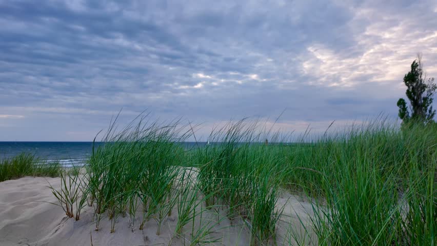 Tall dune grass along lake Michigan shore ta Grand Haven beach with sunset sky. 