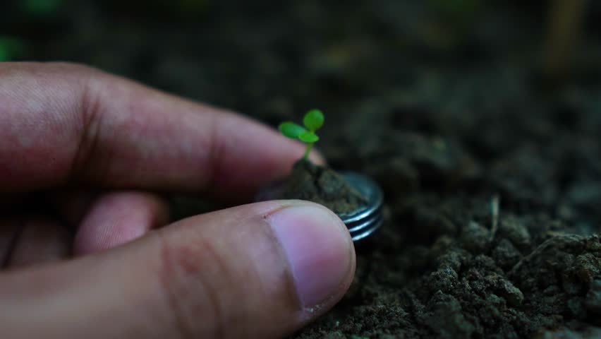 Close-up a hand holding stack of coin with young plant money invesment, financial, gowth, banking concept video