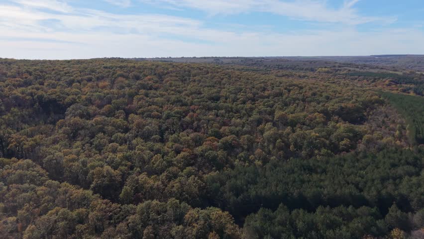 Aerial drone view of a dense autumn forest with colorful trees under blue sky. Peaceful natural landscape ideal for travel, environment, and cinematic nature projects.