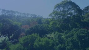 Drone capturing aerial view starting forest holographic UI appearing and scanning canopy for data. Technology, innovation, futurism, digital, visualization, environmental, high-tech - Powered by Shutterstock - Get 15% off with code: PIKWIZARD15