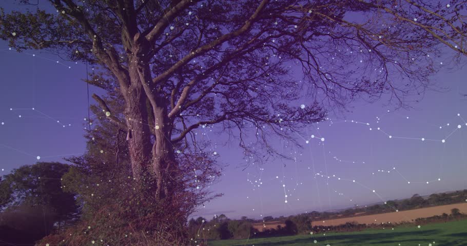 Data overlays fading in over deciduous tree, filling grids rotating for data scan then fading out. Technology, analytics, networks, visualization, digital, futurism, data