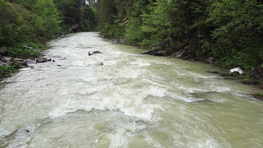 Mountain river with wooded banks, fast flowing and rapids in overcast rainy day, aerial view while moving up
