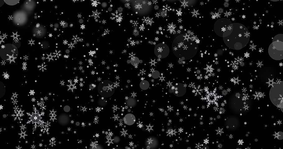 A beautiful looping animation showcasing a serene winter scene with delicate snowflakes drifting gracefully against a deep black background, capturing the essence of the chilly season.