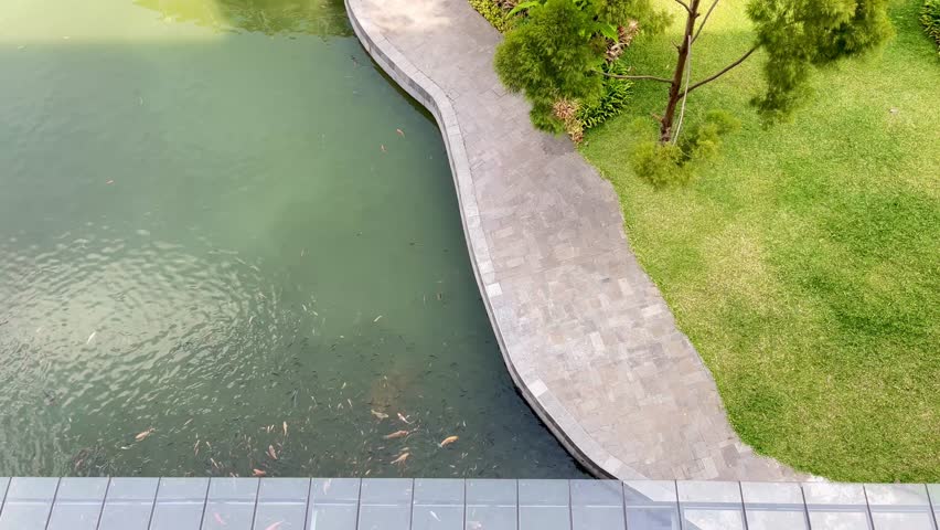 High Angle View of Fish Swimming Near Stone Path and Green Lawn by a Pond