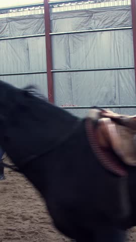 In a special hangar, a woman coach trains a black, thoroughbred horse. he jumps, runs in a circle, around. horse training